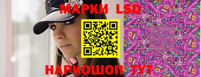 дмт Кингисепп