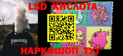 дмт Кингисепп