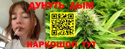 дмт Кингисепп