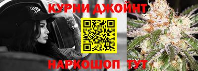 дмт Кингисепп