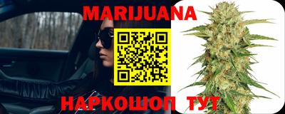 дмт Кингисепп