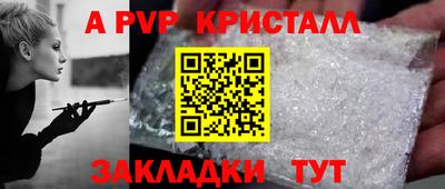дмт Кингисепп