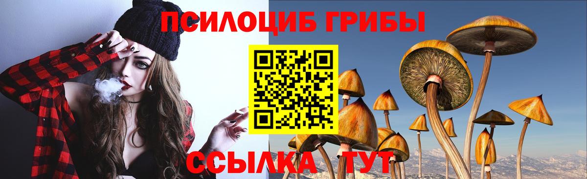 Галлюциногенные грибы ЛСД  Вход с VPN  Усть-Илимск 